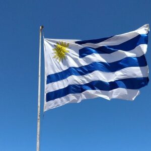 A Seleção Uruguaia é uma das mais tradicionais da história da Copa do Mundo. Veja quem é o artilheiro do Uruguai na Copa do Mundo.