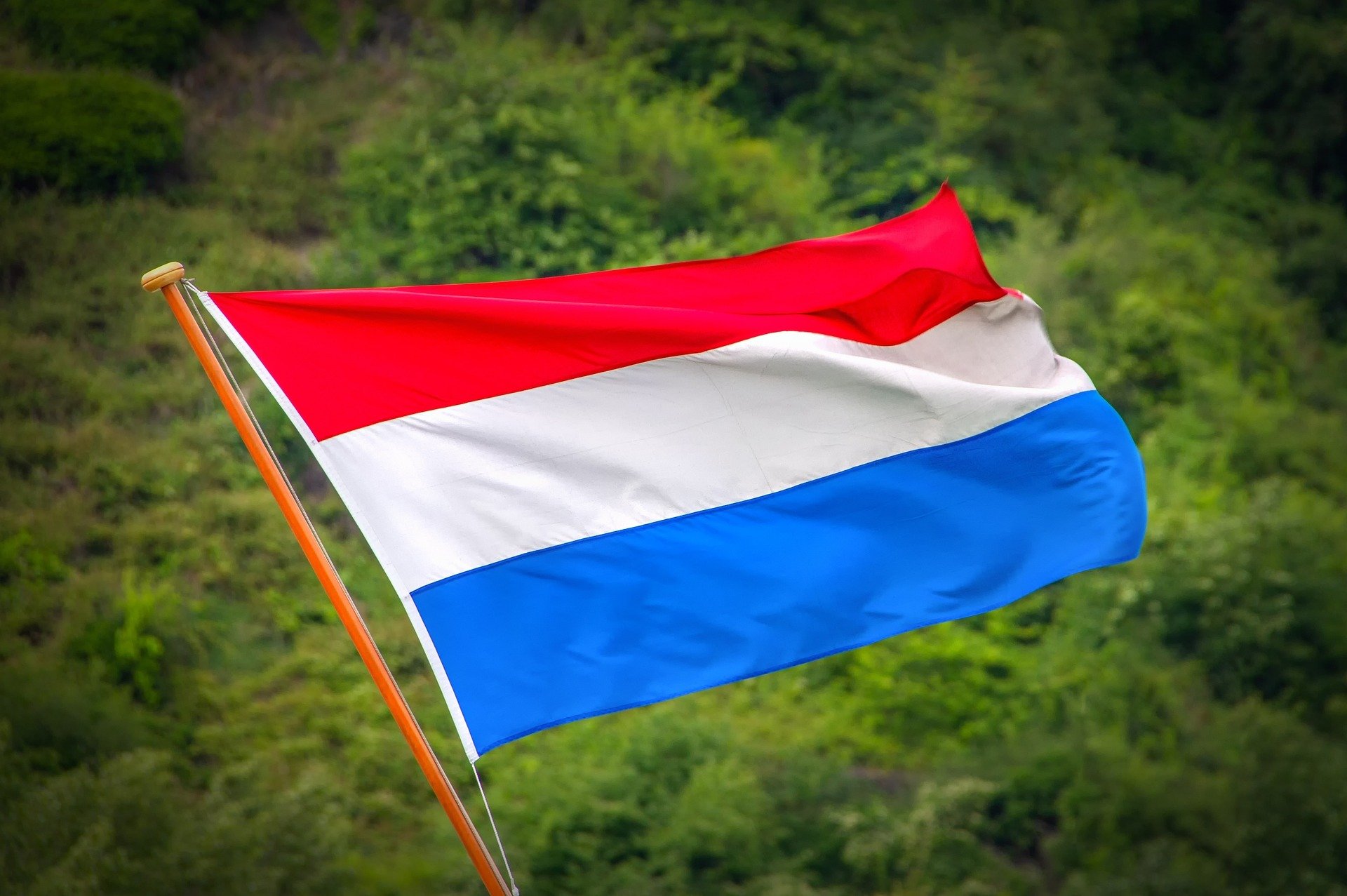 A Holanda tem uma das seleções mais tradicionais, mesmo sem ter sido campeão do mundo. Confira alguns dos melhores jogadores da Holanda.
