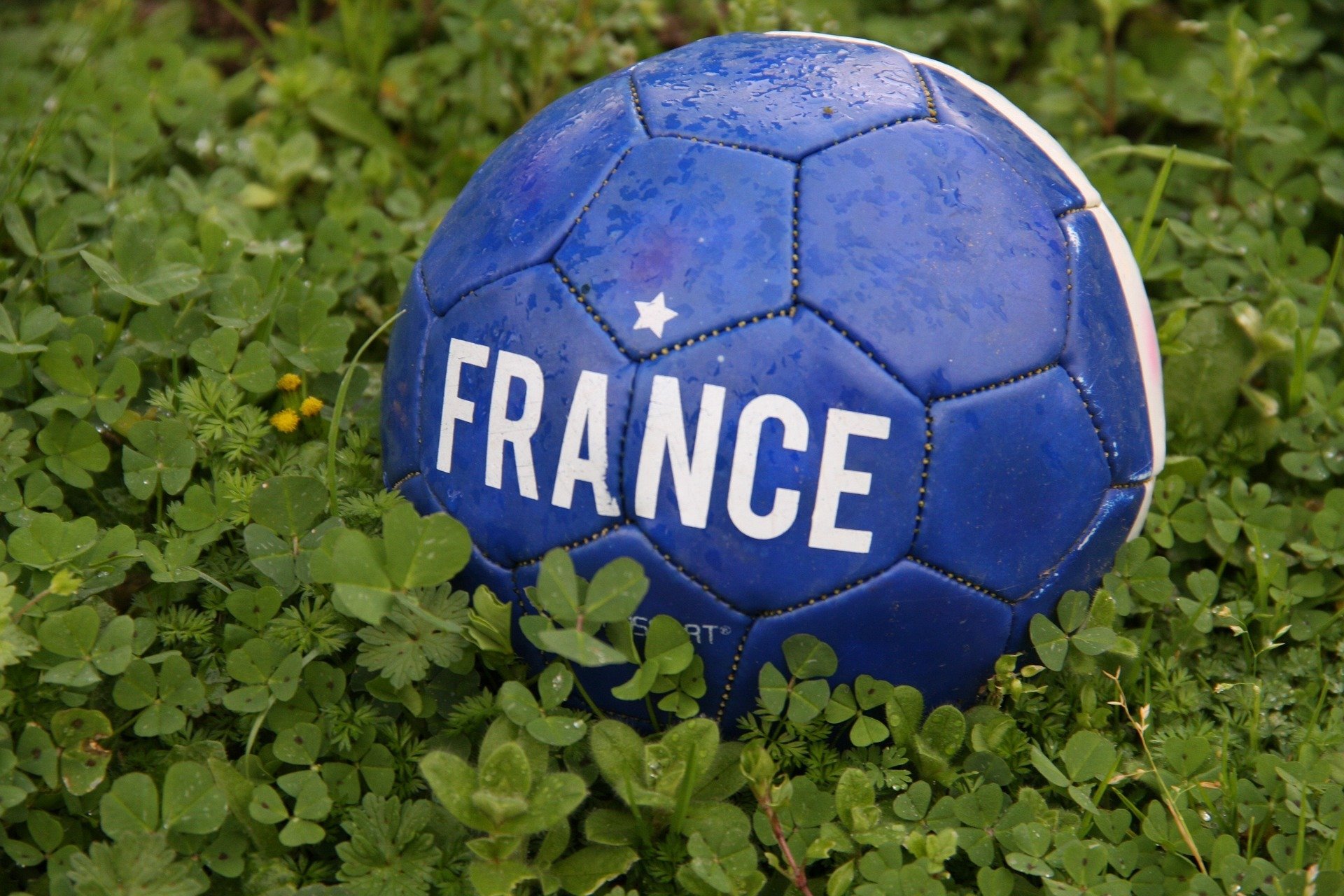 A Seleção da França é uma das grandes favoritas ao título da Copa do Mundo de 2022. Confira quais são os melhores jogadores da França.