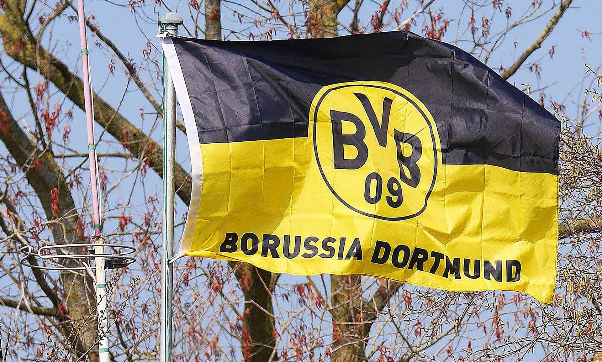 O Borussia Dortmund conta com muitos jogadores que se destacaram marcando inúmeros gols. Veja quem é o maior artilheiro do Borussia Dortmund.