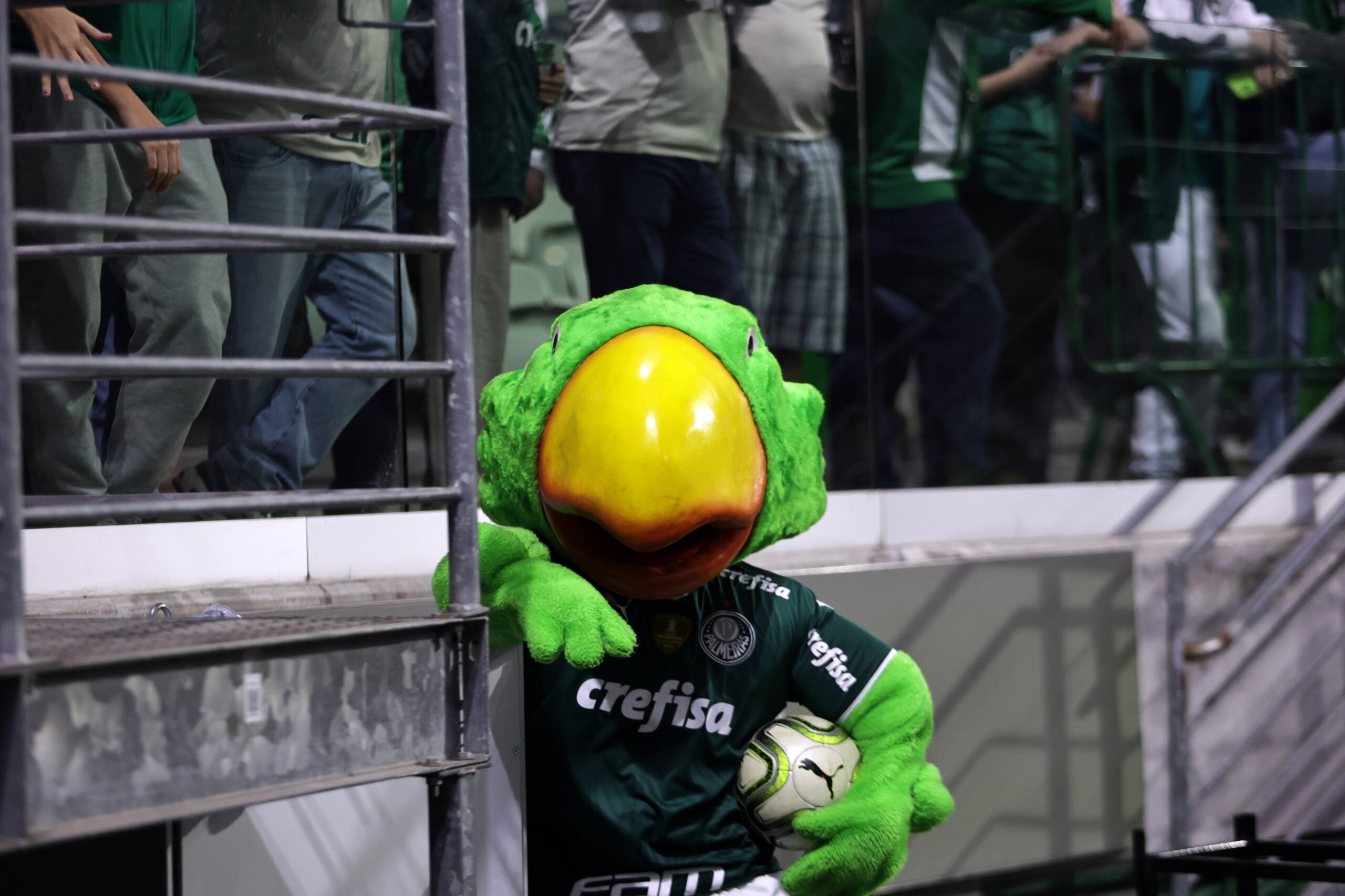 Após ter feito uma grande campanha invicta, o Palmeiras foi campeão da Copinha em 2022. Confira quantos títulos da Copinha o Palmeiras tem.