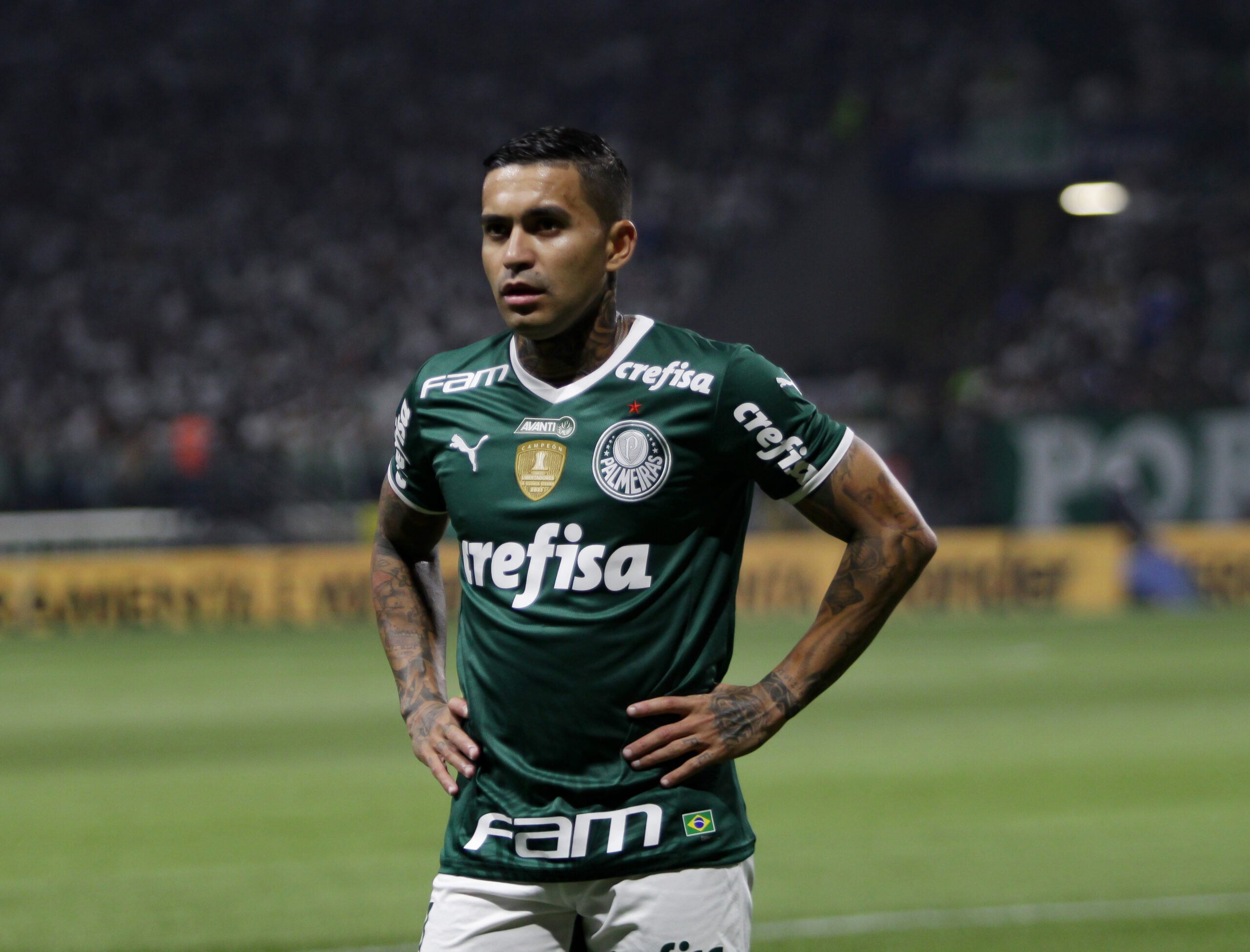 Quais são os maiores artilheiros da história do Palmeiras?